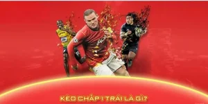 Ảnh đại diện Kèo Chấp 1 Trái